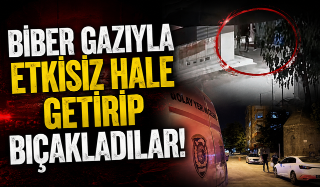 Biber Gazıyla Etkisiz Hale Getirip Bıçakladılar