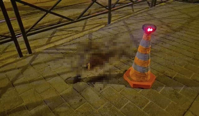 Tartıştığı Eski Sevgilisini Bıçaklayıp Kaçtı