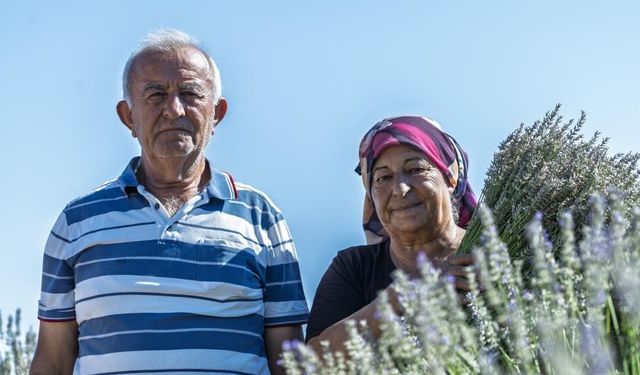 Umutla Yetiştirdi, Gözyaşlarıyla Anlattı: Yaşlı Çiftin Lavanta Bahçesindeki Hüzünlü Bekleyişi
