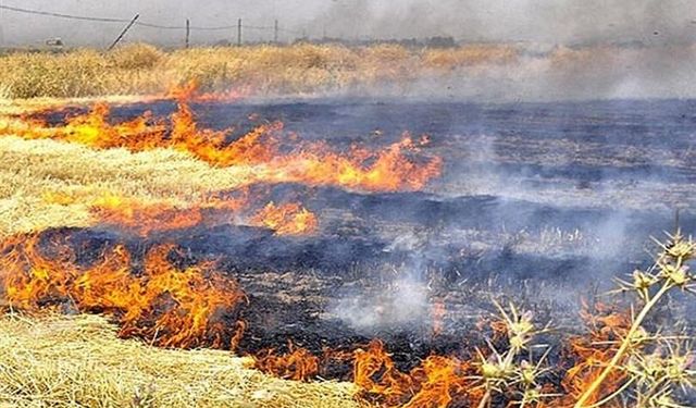 Kırıkkale’de anız yangınına sebebiyet veren 8 kişiye 96 bin lira ceza