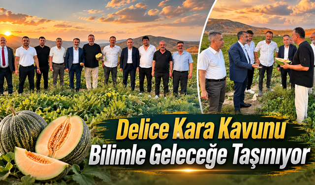 Delice Kara Kavunu Bilimle Geleceğe Taşınıyor