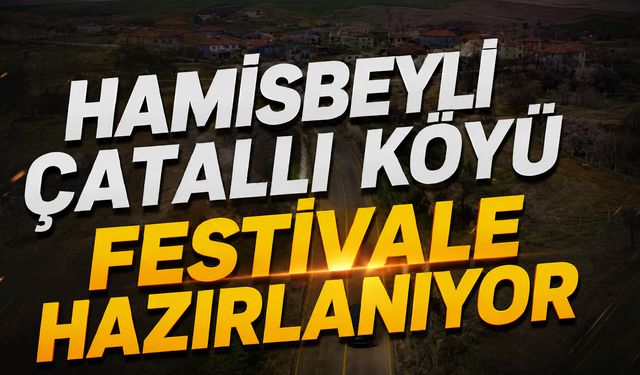 Hamisbeyli Çatallı Köyü Festivale Hazırlanıyor