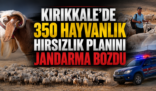 Kırıkkale’de 350 Hayvanlık Hırsızlık Planını Jandarma Bozdu