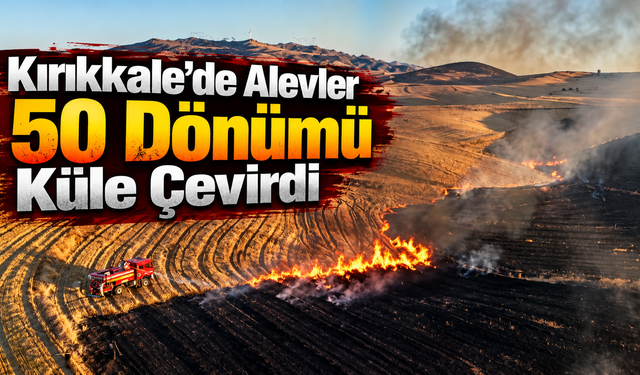 Kırıkkale’de Alevler 50 Dönümü Küle Çevirdi