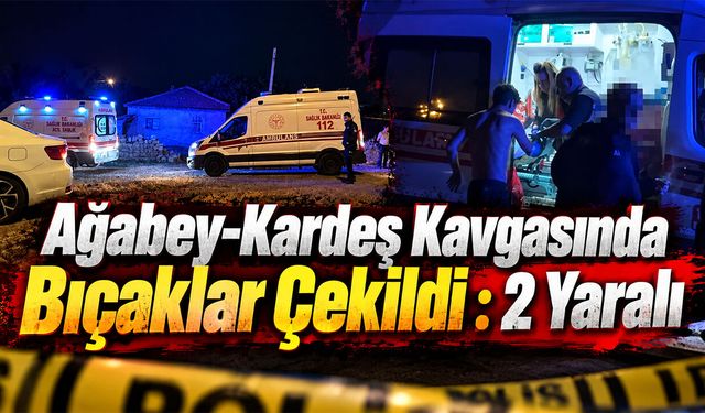 Ağabey-Kardeş Kavgasında Bıçaklar Çekildi : 2 Yaralı