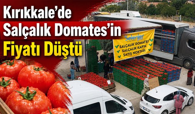 Kırıkkale’de Salçalık Domates’in Fiyatı Düştü