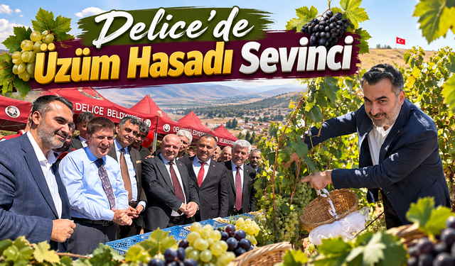 Delice’de Üzüm Hasadı Sevinci