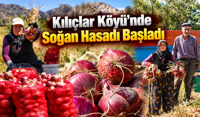 Kılıçlar Köyü’nde Soğan Hasadı Başladı