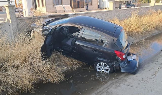 Yola Çıkan Köpek Kazaya Neden Oldu: 1 Yaralı