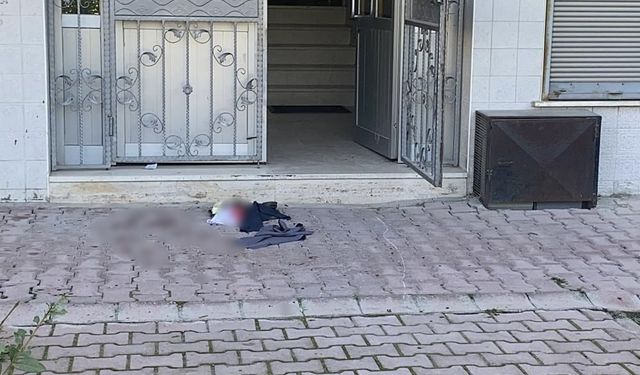 Kedi Tüyü Silkeleme Tartışması Kanlı Bitti: 2 Yaralı