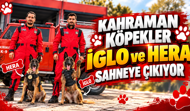 Kahraman Köpekler İglo ve Hera Sahneye Çıkıyor