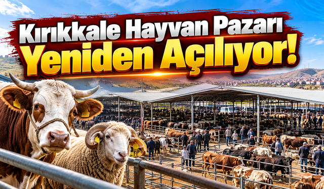 Kırıkkale Hayvan Pazarı Yeniden Açılıyor!