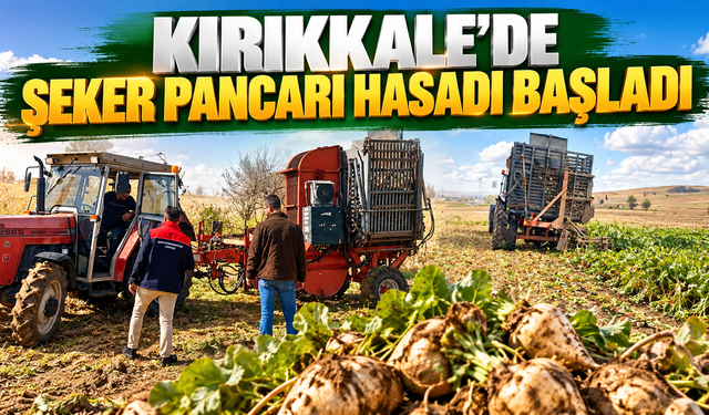 Kırıkkale’de Şeker Pancarı Hasadı Başladı