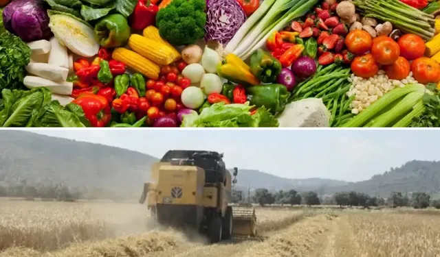 Tarım ürünlerinde fiyatlar eylülde düştü