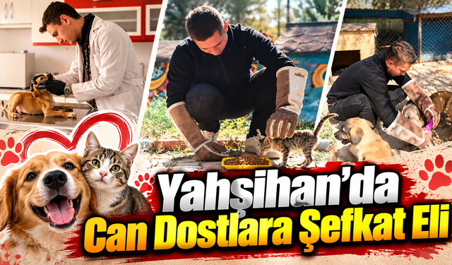 Yahşihan’da Can Dostlara Şefkat Eli