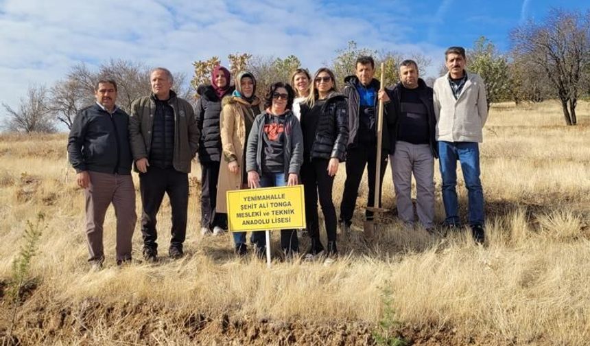 Öğretmenlerden “Bir Tutam Yeşillik”