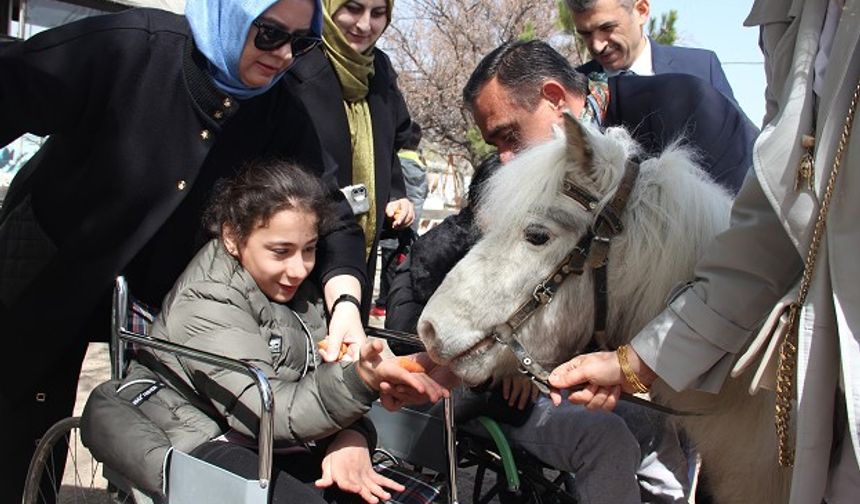 Kırıkkale’de Otizmli Öğrencilere Atlı Terapi