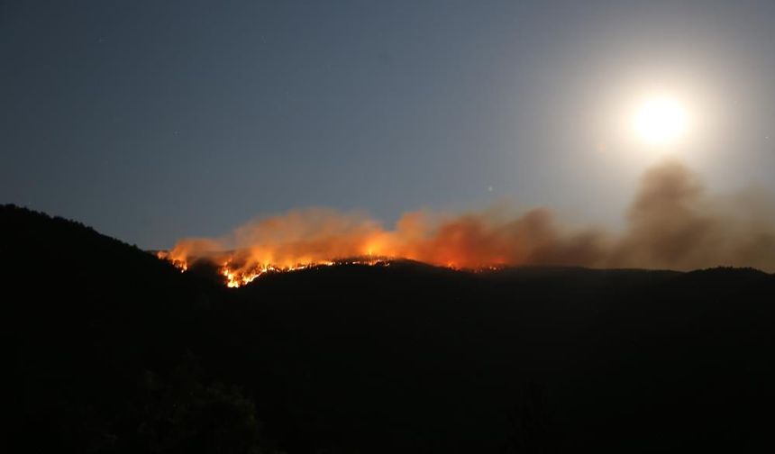 Kırıkkale Ekipleri Ilgaz Yangınında Sahadaydı
