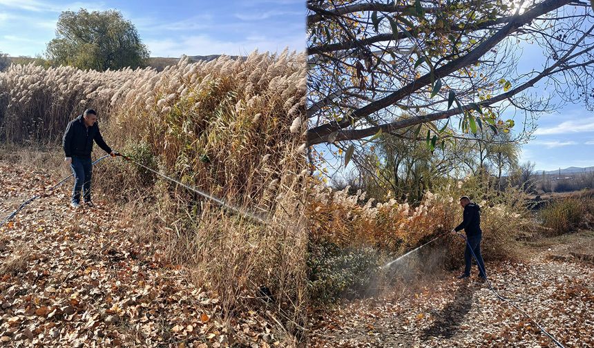 Yahşihan Belediyesi’nden Hijyen İçin İlaçlama