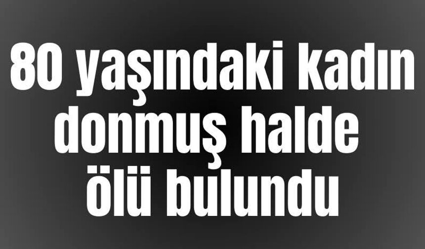 80 Yaşındaki kadın donarak can verdi
