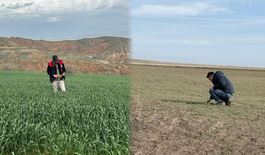 Kırıkkale’de Arazi Ürün Beyan Kontrolleri Sürüyor