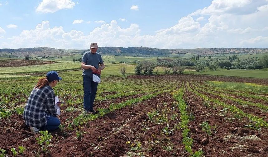 Tarım Müdürlüğü Üreticiyi Yalnız Bırakmıyor