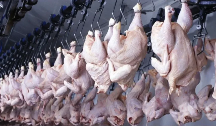 Beyaz et operasyonunda kayyım kararları kaldırıldı