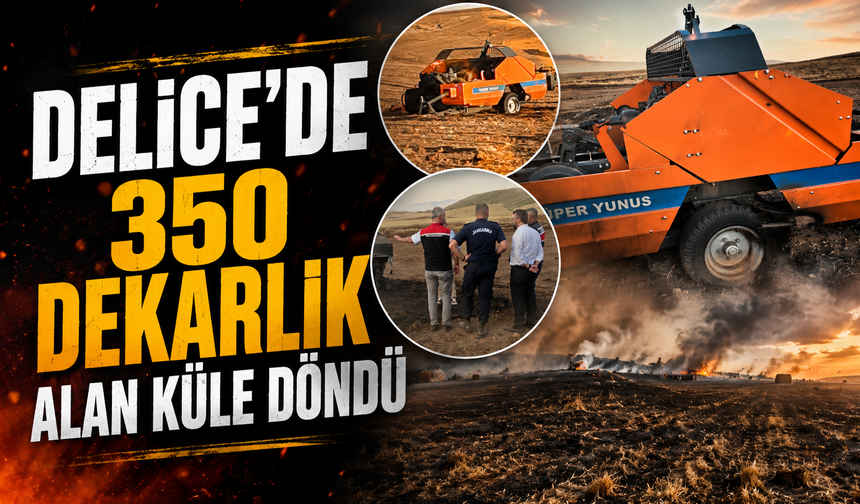 Delice’de 350 Dekarlık Alan Küle Döndü