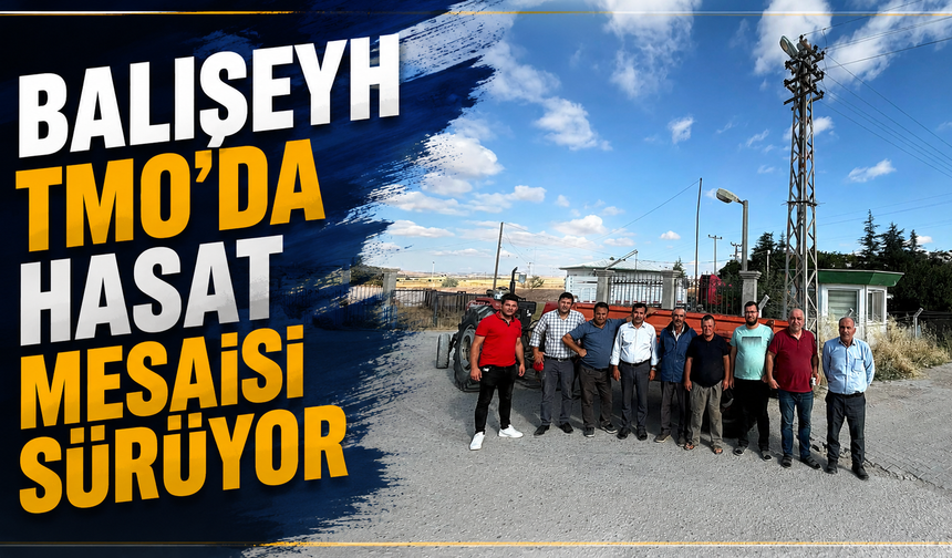 Balışeyh TMO'da Hasat Mesaisi Sürüyor