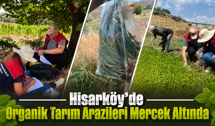 Hisarköy’de Organik Tarım Arazileri Mercek Altında