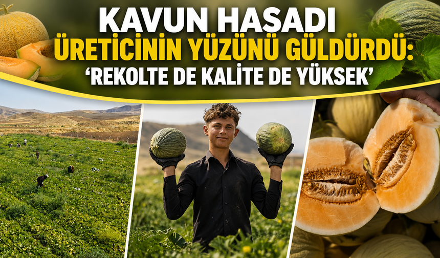 Kavun Hasadı Üreticinin Yüzünü Güldürdü
