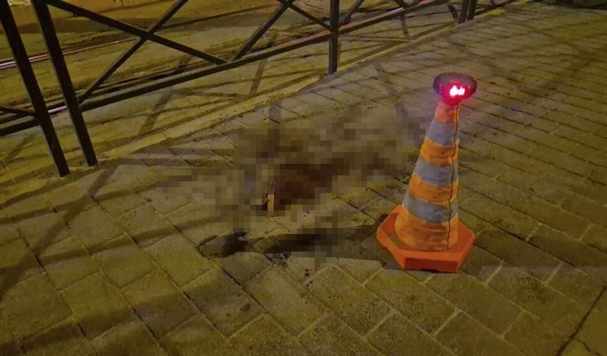Tartıştığı Eski Sevgilisini Bıçaklayıp Kaçtı
