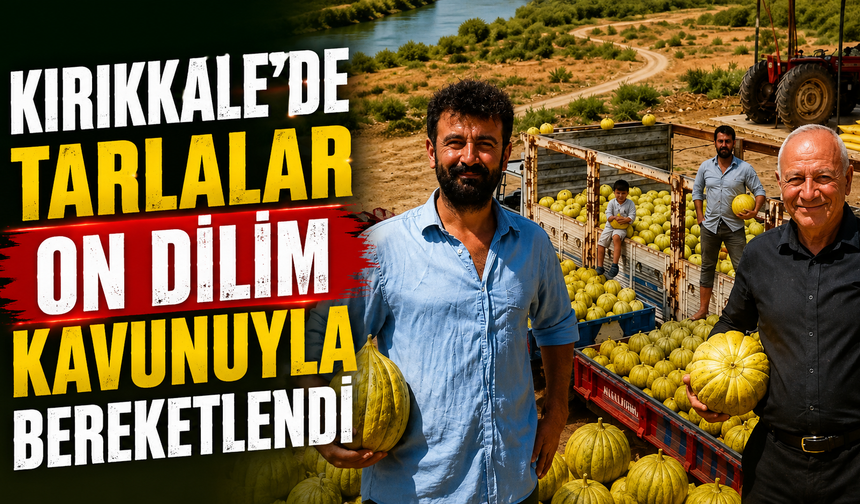 Kırıkkale’de Tarlalar ‘On Dilim’ Kavunuyla Bereketlendi