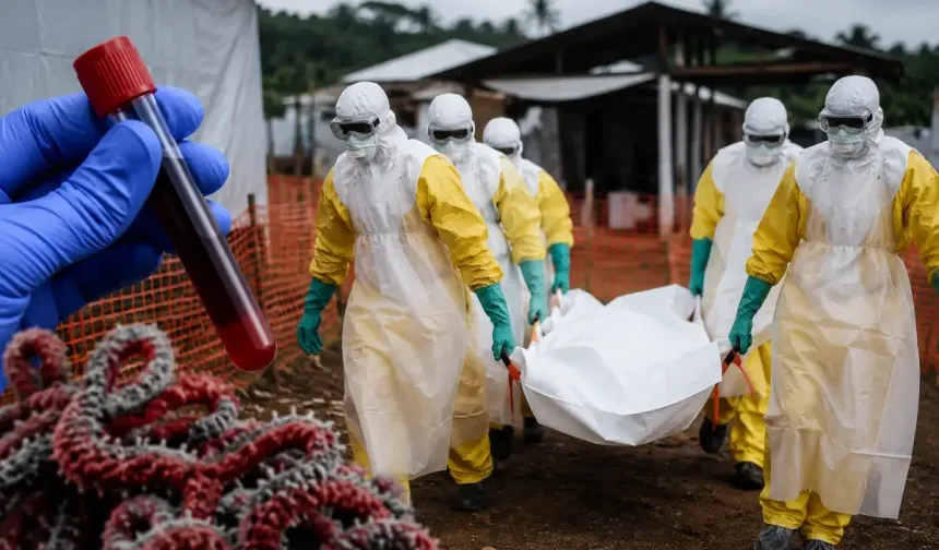 DSÖ’den Ebola uyarısı: KDC’de risk çok yüksek