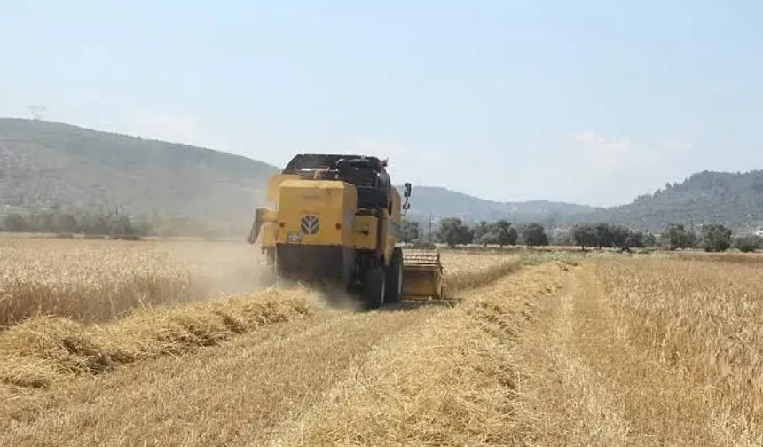 Tarımsal destekleme ödemeleri çiftçilerin hesaplarına aktarılıyor