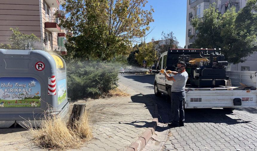 Kırıkkale’de Vektörle Mücadele Çalışmaları Sürüyor