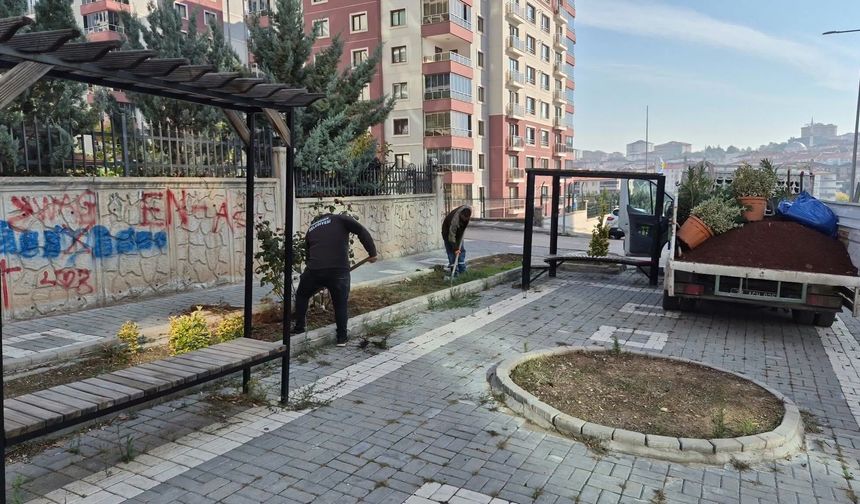 Yahşihan'da Yeşil Alanlara Bakım Yapılıyor