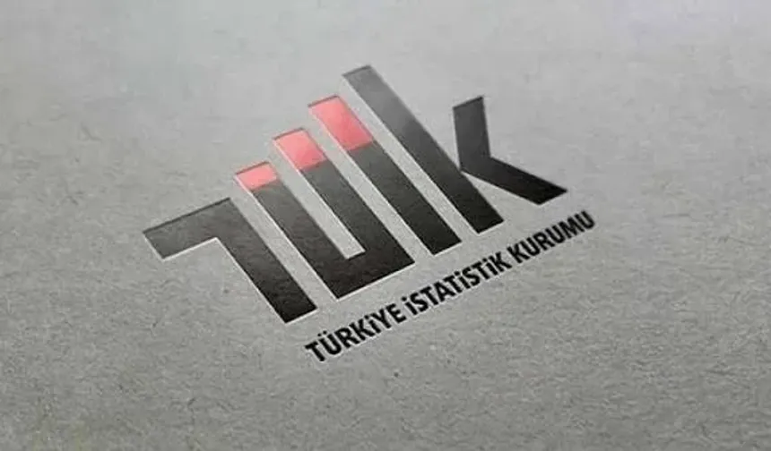 TÜİK açıkladı: Eylülde hangi yatırım aracı kazandırdı?