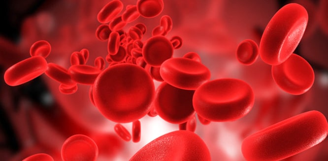 Kan Hemoglobin Alyuvar 6