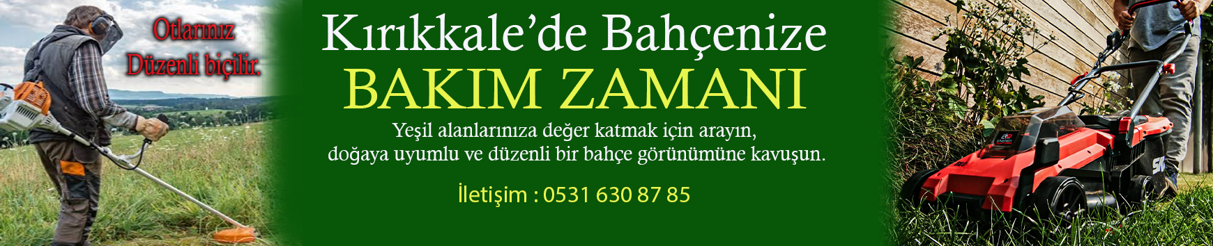 Reklam Bloğu