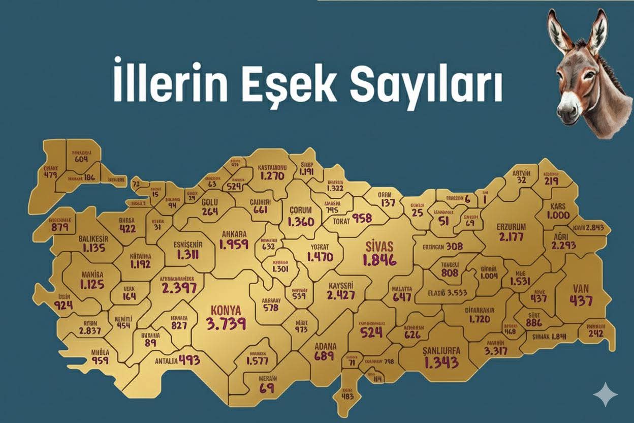 F B I M G 1763236220949