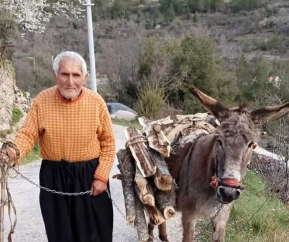 F B I M G 1765701314659