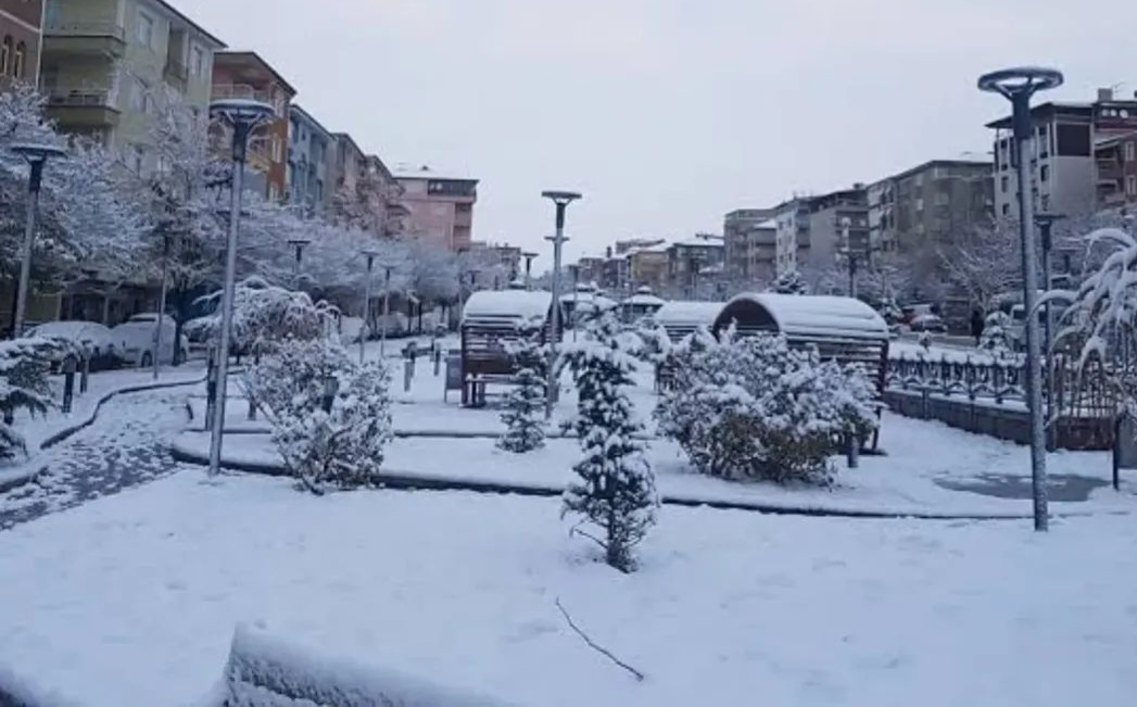 F B I M G 1767249343075