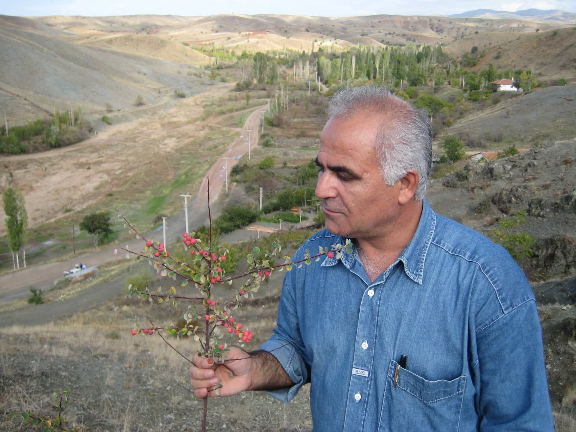 F B I M G 1767639137253