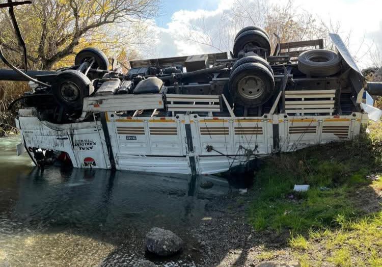 F B I M G 1768138580435