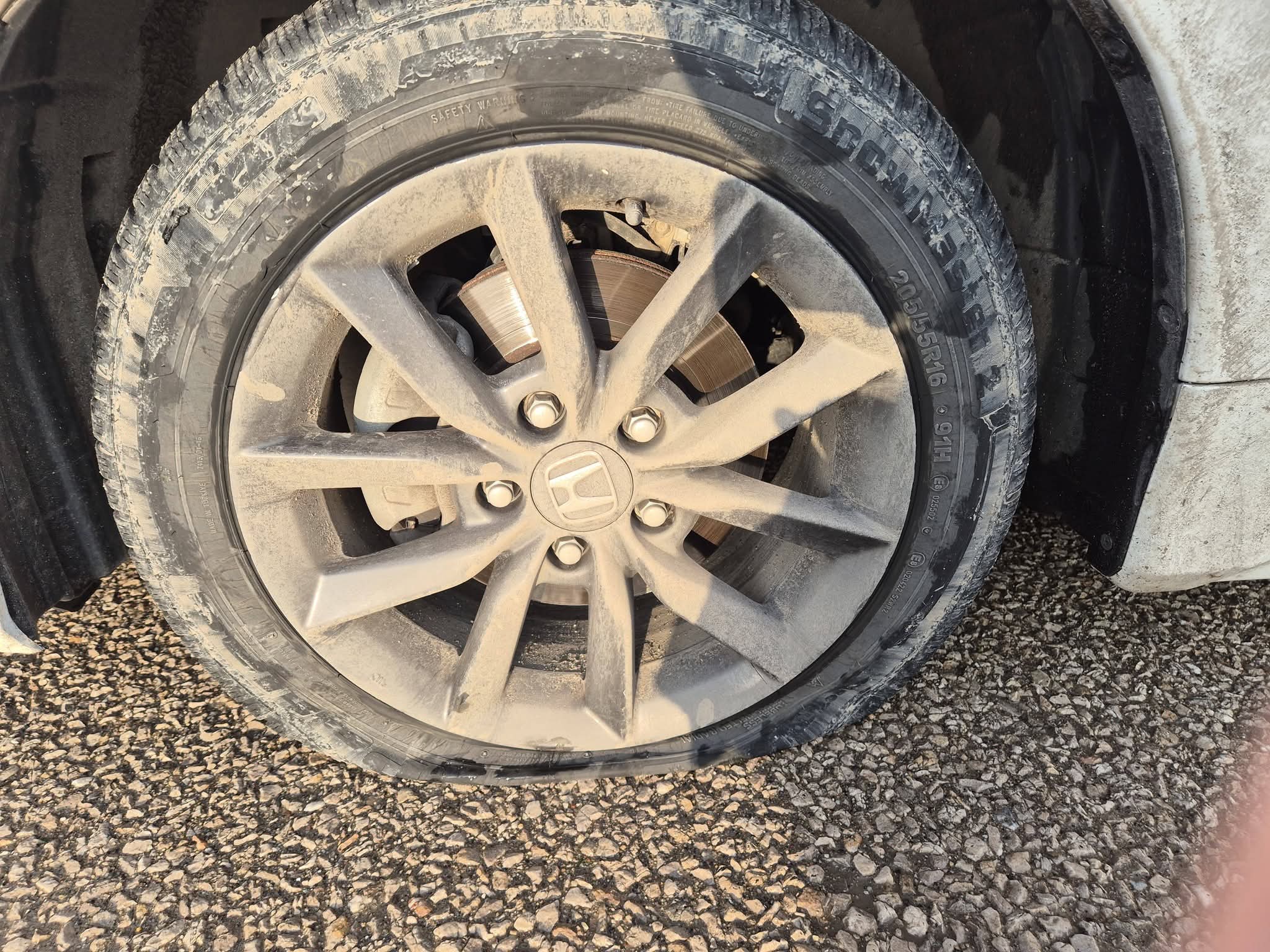 F B I M G 1769330980485