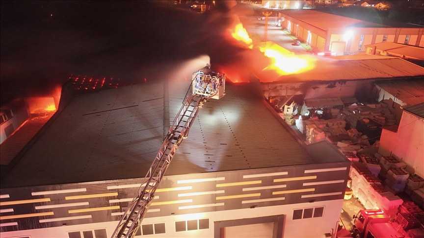 Thumbs B C C277Ef5A4566Cc45260D53997B86417F