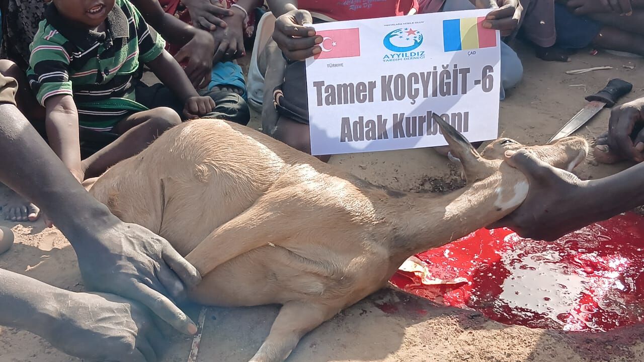 I M G 20260321 W A0133