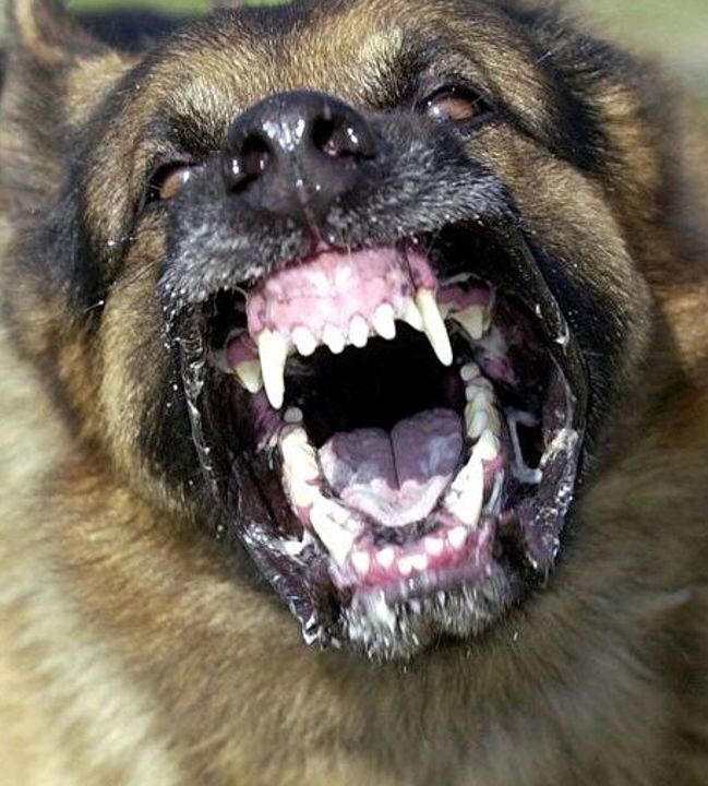 I M G C992 B6 C5 B5 B7 1 A C F3 F 6041 B5 C A3860 D0 E11 D