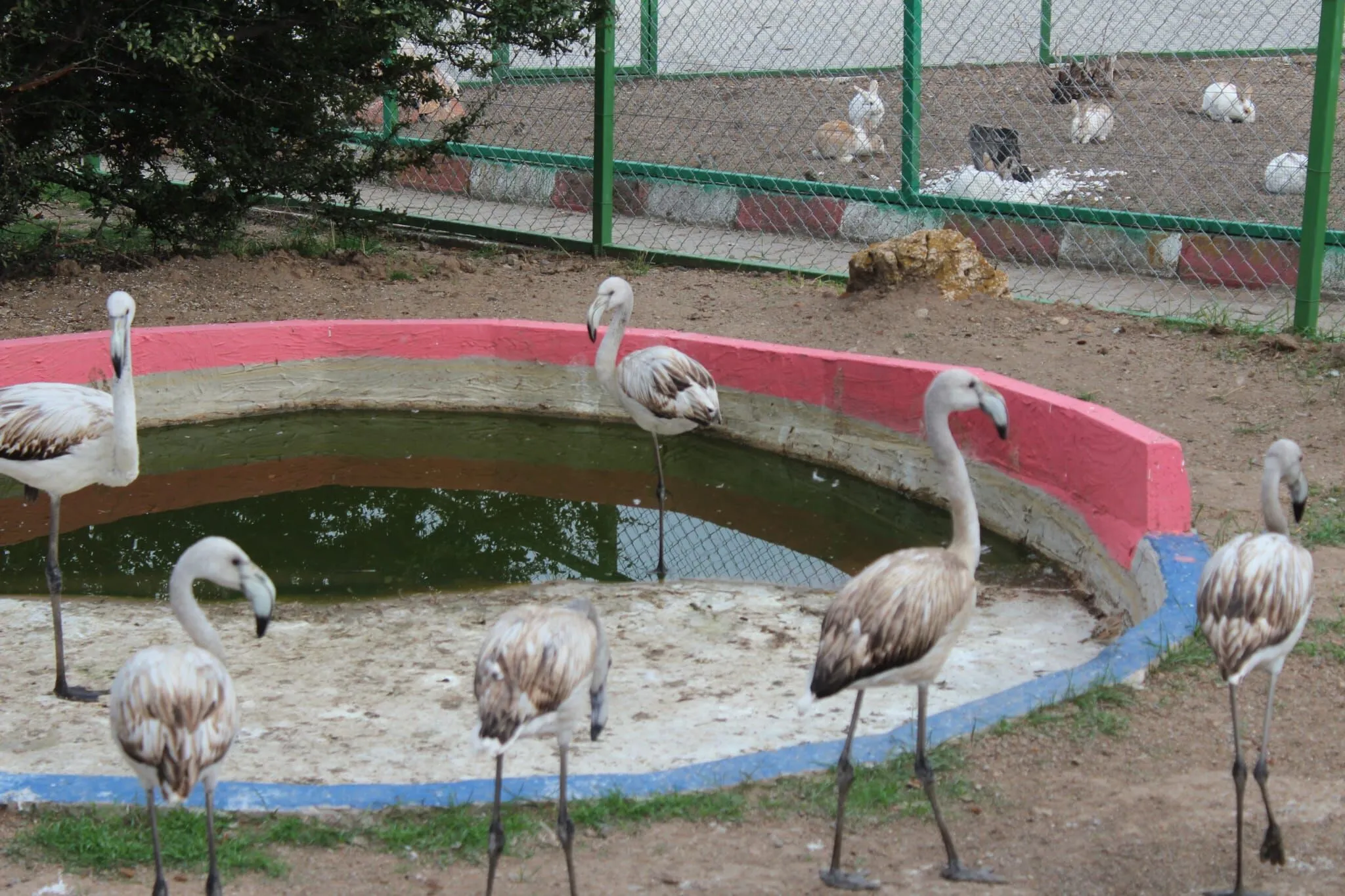 D6C9593B 26Ef 4E23 9537 93Ce6D6C5Efe-1